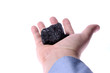 Pieces of coal in palm/ Holding Coal Pieces of coal in palm/ Holding Coal