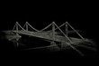 3d wireframe render of a bridge