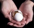 Female Hands Holding Broken Egg Female Hands Holding Broken Egg