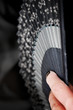 Black Fan Black Fan