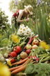 au potager au potager