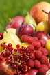 panier de fruits