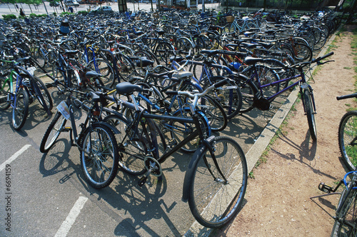 Large group of bicycles