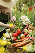 au potager au potager