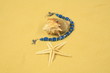 Seashell, Starfish, Sand & Jewelry