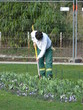 jardinier en action