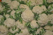 Choux fleurs