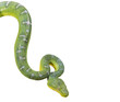 Emerald tree boa isolated on white Emerald tree boa isolated on white