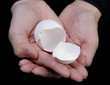 Hands Holding White Egg Shell Hands Holding White Egg Shell