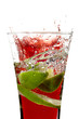 glass with juice and lemon glass with juice and lemon