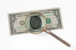 wealth, dollars, currency, businesses, paper, money, finances