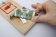 Photo: Money Trap - US Dollar being taken from a rat trap Money Trap - US Dollar being taken from a rat trap