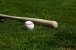 Baseball and Bat
