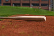 Baseball Bat