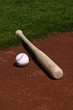 Baseball and Bat