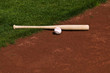 Baseball and Bat