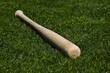 Baseball Bat