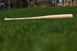 Baseball Bat