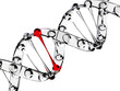 ideal sample DNA