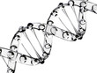 ideal sample DNA
