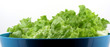 Green salade