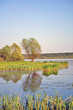 Summer landscape