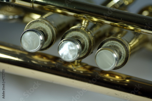 Photo: trumpet's buttons trumpet's buttons