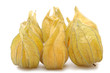 Physalis fruits on a white background