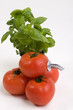 Tomato juice source