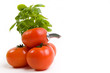 Source of tomato juice