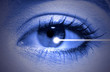 iris recognition