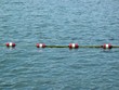 Swimmers Rope