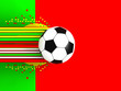 soccer ball