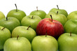 Photo: different concepts with apples different concepts with apples