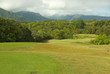 Fairway on a golf course