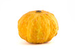 Pumpkin isolated on white background