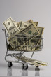 Dollar Bills