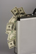 Dollar Bills