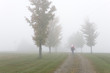 Foto: Person with an umbrella on pathway amid grassland. Person with an umbrella on pathway amid grassland.