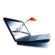 Goldfish jump