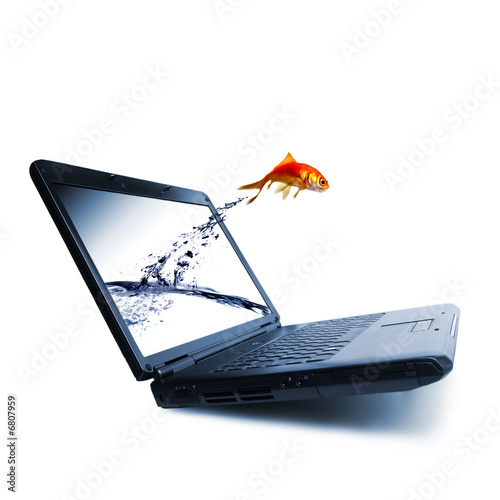 Photo: Goldfish jump Goldfish jump