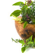 Herbs