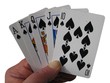 Foto: Royal Flush Royal Flush