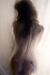 Photo: charme voilé charme voilé