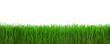 Grass