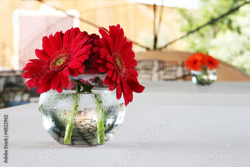 Photo: daisies in a vase daisies in a vase