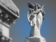 Cemetery Angels