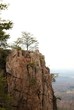 Cliff side mountain with trees