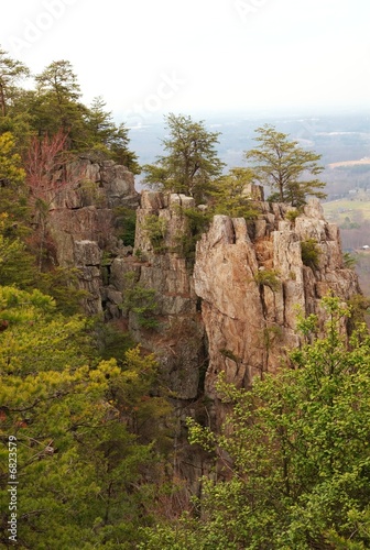 Photo: Cliff side mountain with trees Cliff side mountain with trees