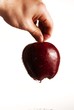 A human hand holding a red delicious apple on white